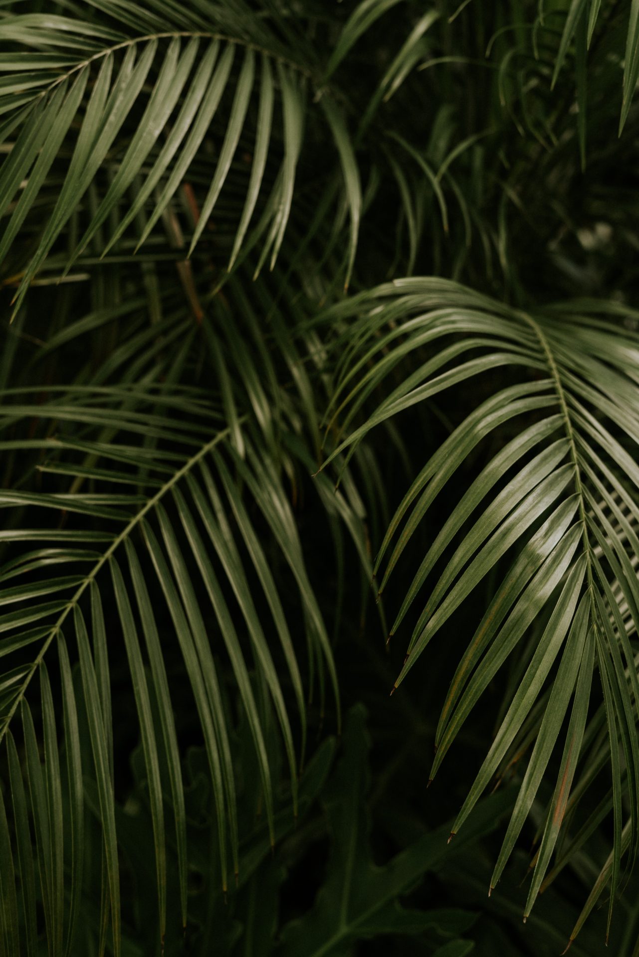 cody-board-YW5EjYFYjfs-unsplash